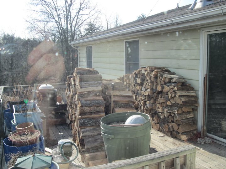 167937_901856061319_755671_n