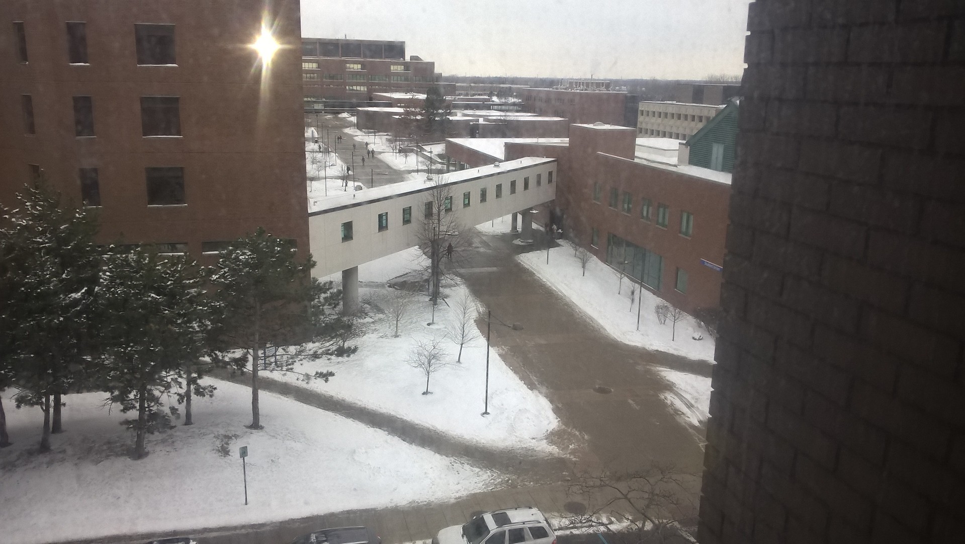 WP_20160215_13_35_42_Pro